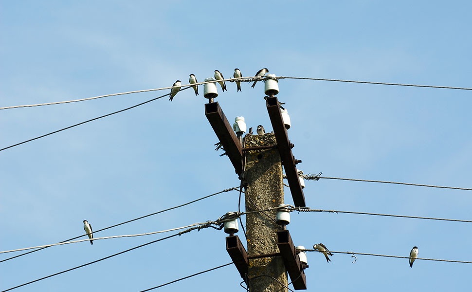 Nous peatges d’accés a l’electricitat a partir de 2026